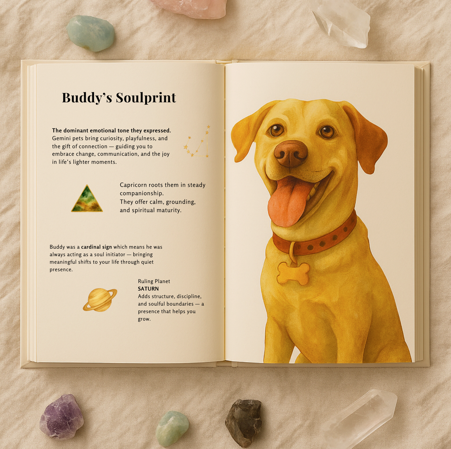 Whisper is still here - Personalized Dog Memorial Book
